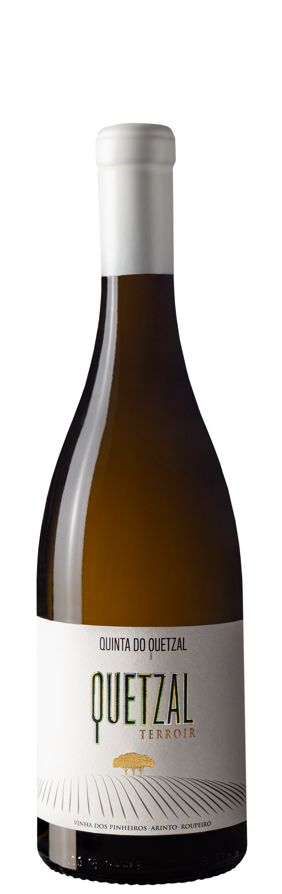 Garrafa de Quinta do Quetzal Terroir Vinha dos Pinheiros Branco 2021, vinho branco do Alentejo, 75 cl