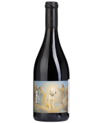 Carregar imagem na galeria: Titan Grande Reserva tinto 0,75 LT