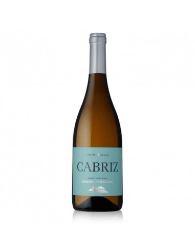 Vinho Branco Cabriz Sauvignon Blanc - Dão - Garrafeira Baco®