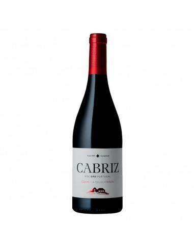 Red Wine Quinta Cabriz Selected Harvest