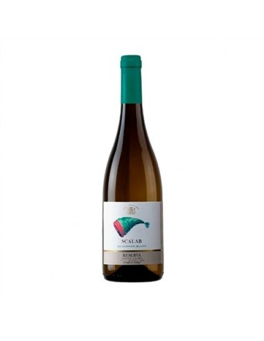Vinho Scalab Sauvignon Blanc Reserva...