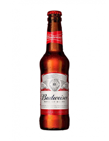 Budweiser beer 0.33 LT TP