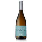 Carregar imagem na galeria: Vinho Branco Cabriz Sauvignon Blanc

