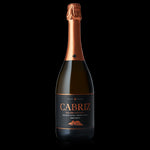 Carregar imagem na galeria: Quinta Cabriz Dao Espumante M Seco 75 CL
