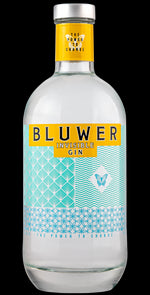 Carregar imagem na galeria: Bluwer Invisible Gin 0.70 Lt
