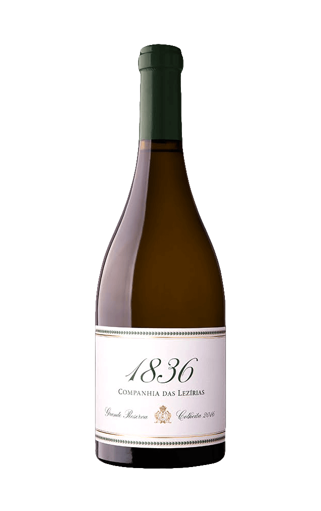 Grande Reserva Branco 1836 75 CL