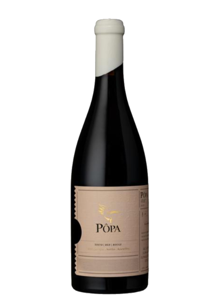 VINHO TINTO PÔPA AMPHORA 0,75 LT