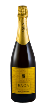 Carregar imagem na galeria: Garrafa de Espumante Primavera Baga Grande Reserva Extra Bruto 2019, Bairrada, 75 cl