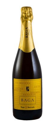 Garrafa de Espumante Primavera Baga Grande Reserva Extra Bruto 2019, Bairrada, 75 cl