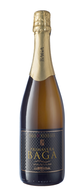 ESPUMANTE PRIMAVERA BAGA RESERVA EXTRA BRUTO