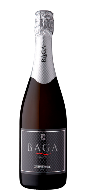 ESPUMANTE PRIMAVERA BAGA BRUTO RESERVA