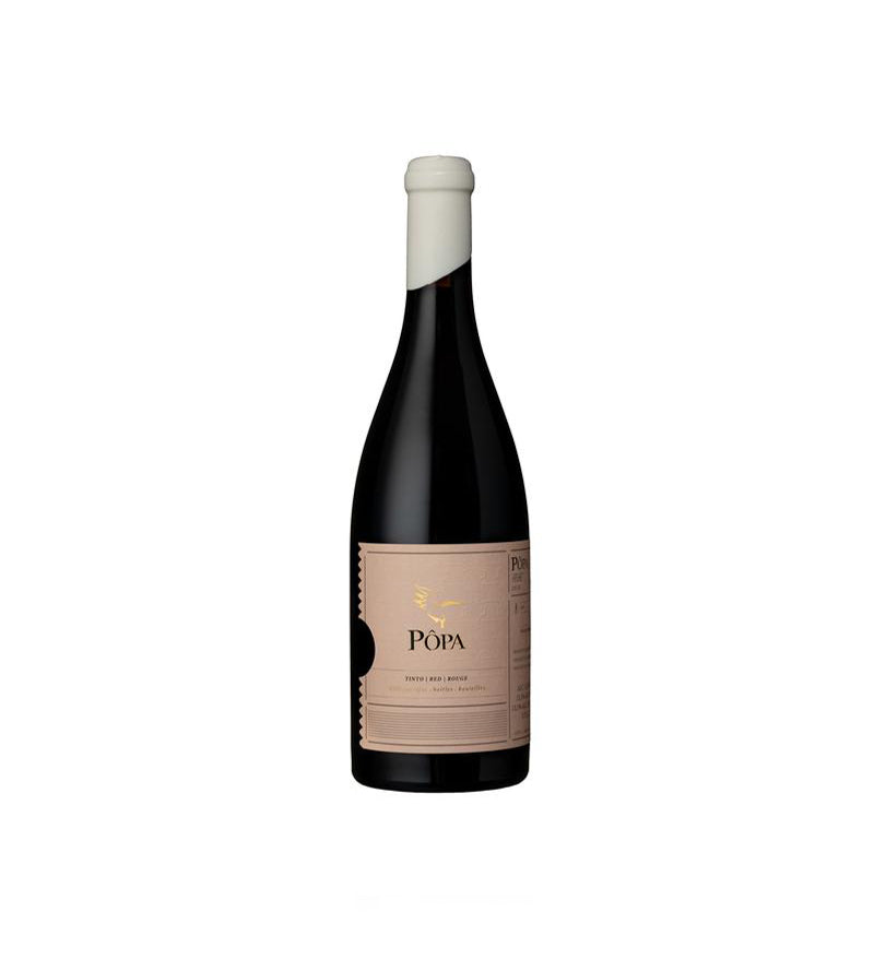 Vinho Tinto Pôpa Amphora 0,75 Lt