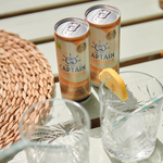 Carregar imagem na galeria: Latas de kombucha GUTsy Captain de 250 ml