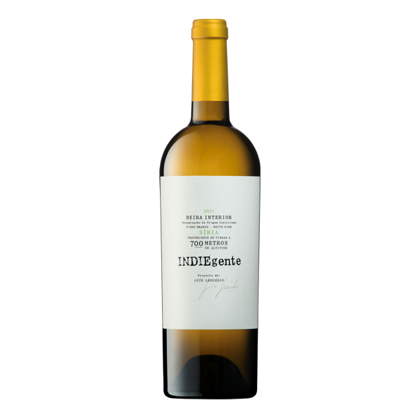 TITAN INDIEGENTE BRANCO
