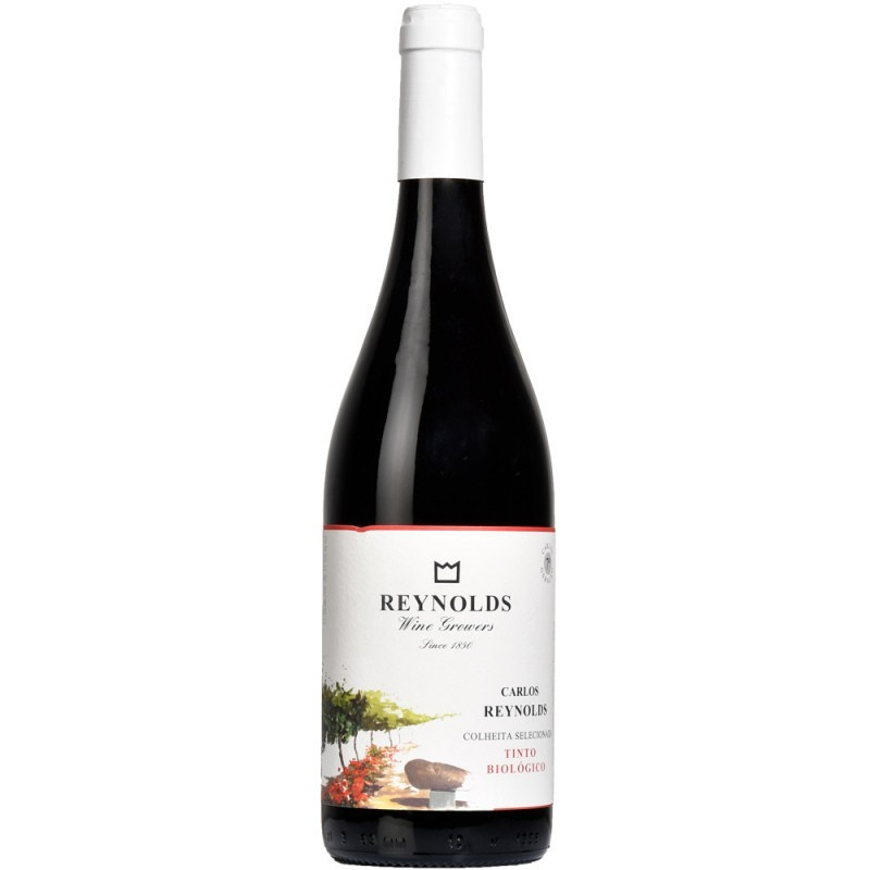 CARLOS REYNOLDS BIO TINTO